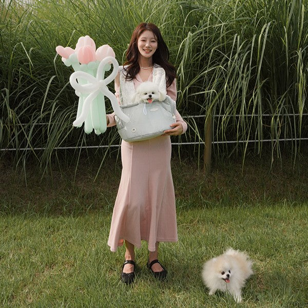 【予約】BABISYOUNG Front Bebe Bag