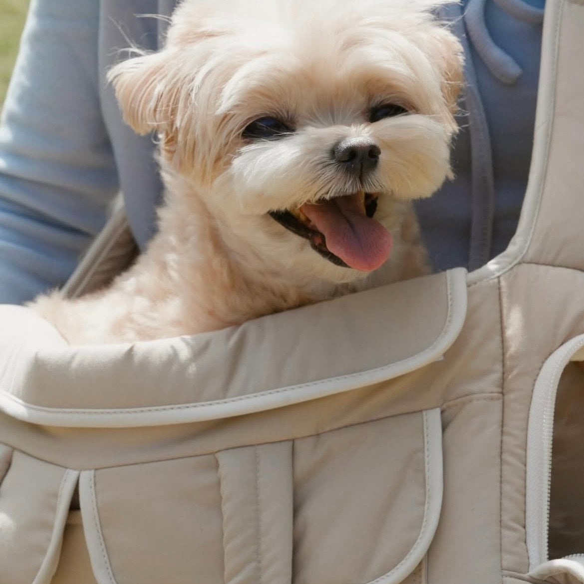 韓国発BABISYOUNG】Sling Bag ｜犬用キャリーバッグ｜PAW SELECT