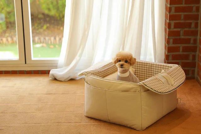 【予約】Basic cozy mung seat₊cushion