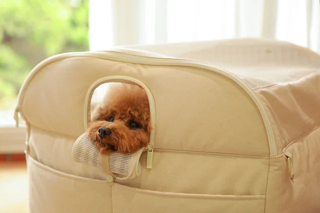 【予約】Basic cozy mung seat₊cushion