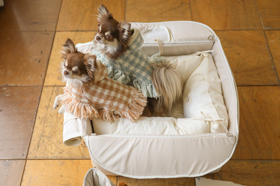 【予約】Basic cozy mung seat₊cushion