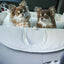 【予約】Basic cozy mung seat₊cushion