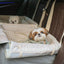 【予約】Basic cozy mung seat₊cushion
