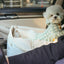 【予約】Basic cozy mung seat₊cushion
