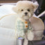【予約】Basic cozy mung seat₊cushion
