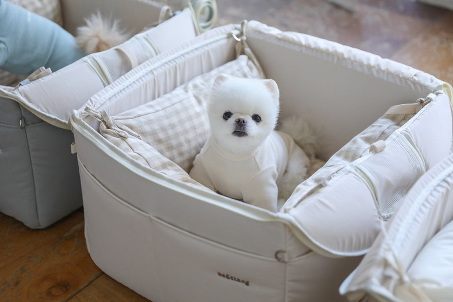 【予約】Basic cozy mung seat₊cushion