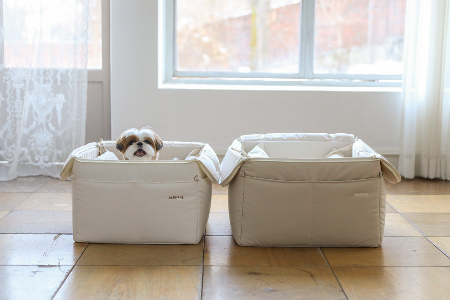【予約】Basic cozy mung seat₊cushion
