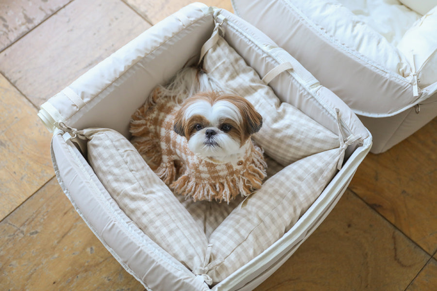 【予約】Basic cozy mung seat₊cushion