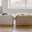 【予約】Basic cozy mung seat₊cushion
