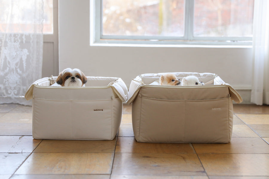 【予約】Basic cozy mung seat₊cushion