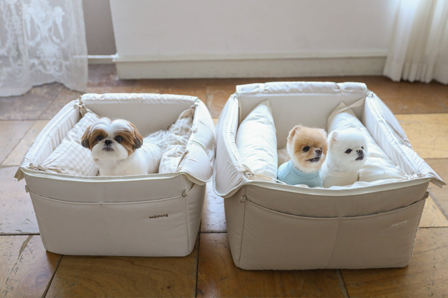 【予約】Basic cozy mung seat₊cushion