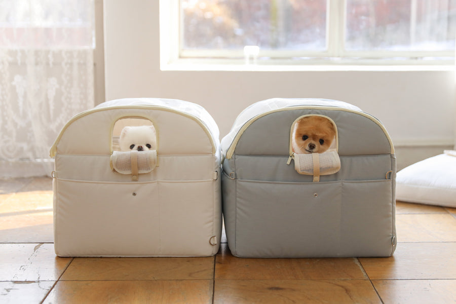 【予約】Basic cozy mung seat₊cushion