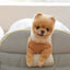 【予約】Basic cozy mung seat₊cushion
