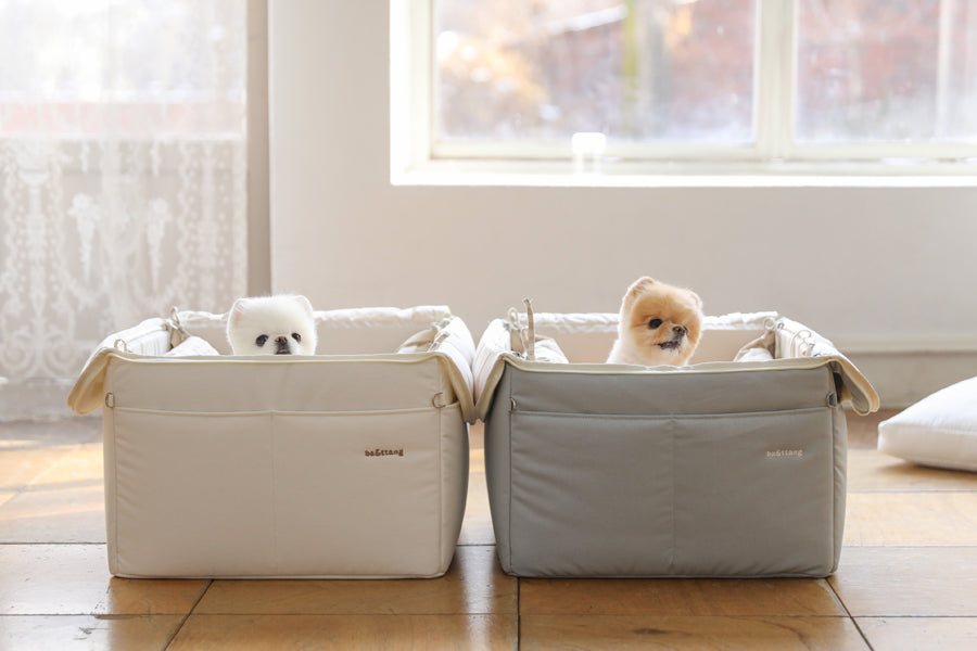 【予約】Basic cozy mung seat₊cushion
