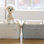 【予約】Basic cozy mung seat₊cushion