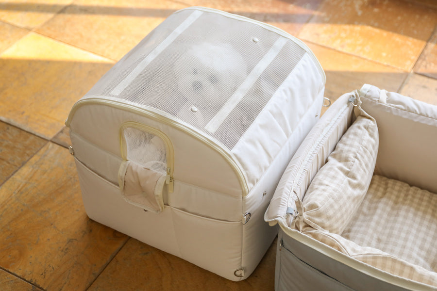 【予約】Basic cozy mung seat₊cushion