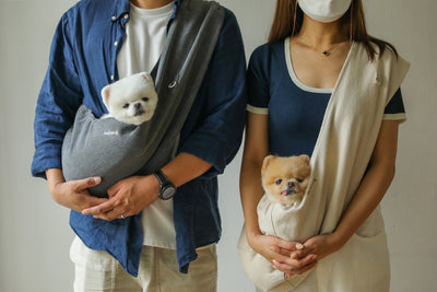 【予約】comfortable slingbag｜犬用キャリーバッグ・スリングバッグ