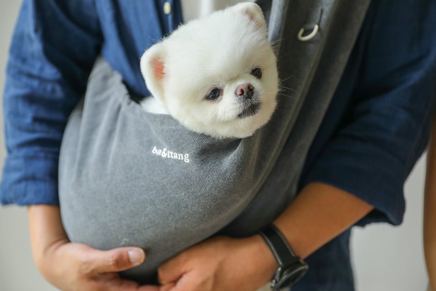 専用です⭐︎本日限定！！ba&ttang 犬用キャリーバッグ　スリング ba&ttang｜韓国のおしゃれな犬服・キャリーバッグ・スリングバッグ通販