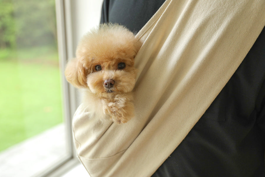 【予約】comfortable slingbag｜犬用キャリーバッグ・スリングバッグ