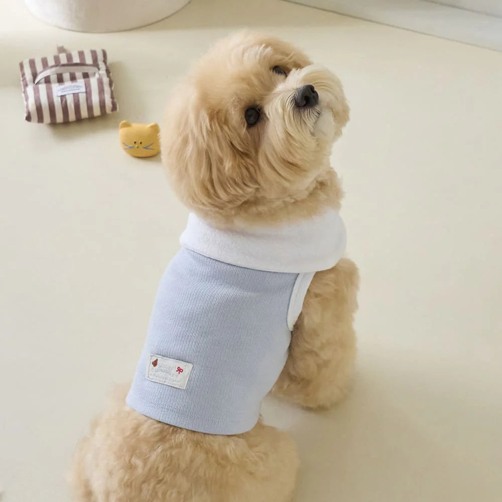【予約】ボウカラー クロップTシャツ