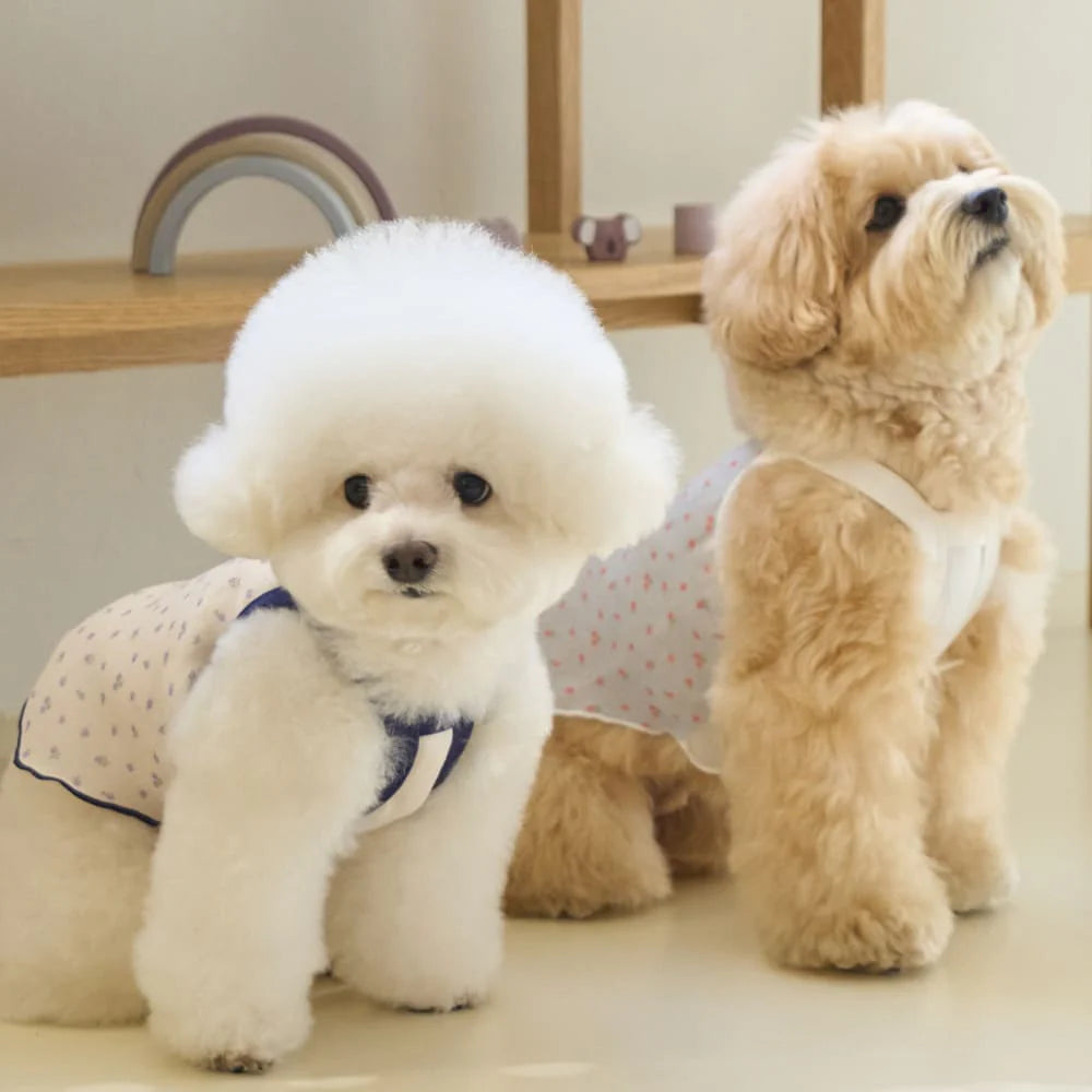 【予約】ブリーズ クロップトップ