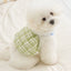 【予約】シトラス バルーン トップ