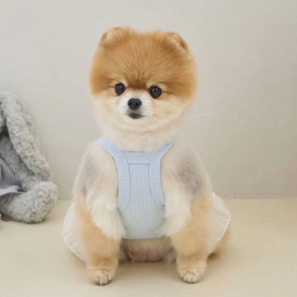 【予約】デミュア ワンピース
