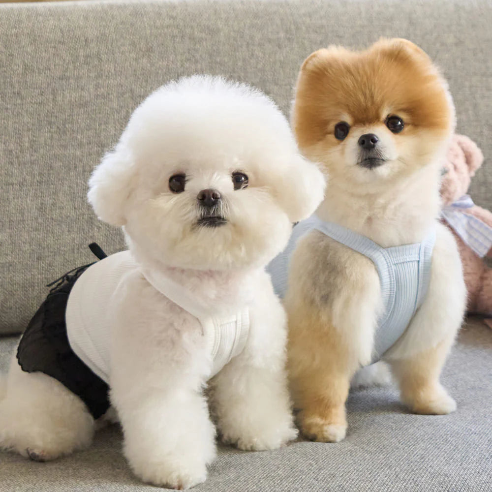 【予約】デミュア ワンピース