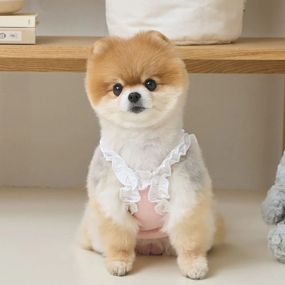【予約】フリルドット クロップトップ