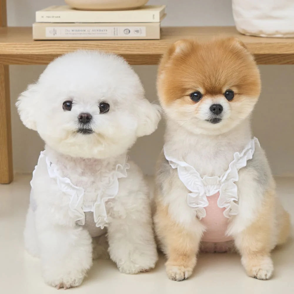 【予約】フリルドット クロップトップ