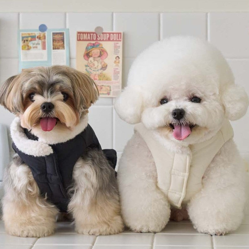 グレース ダウンジャケット｜PAW SELECT（パウセレクト） – BENNYS