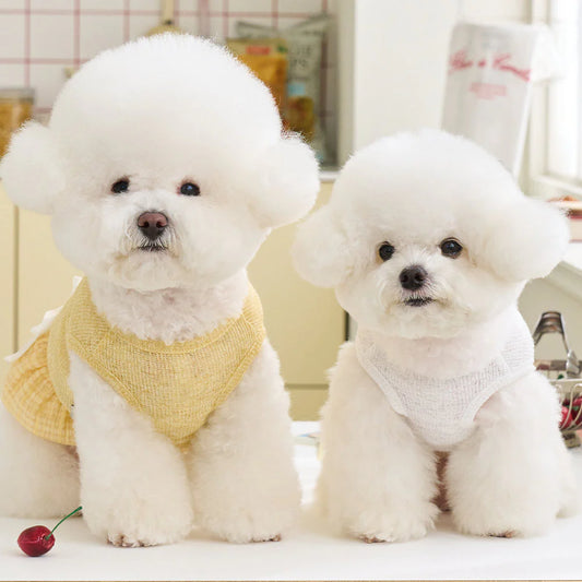 【予約】HAZE ONE PIECE