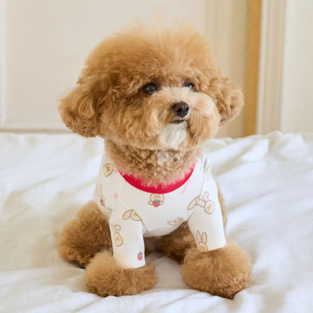 【予約】ジューシーバニーTシャツ