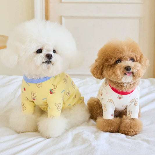 【予約】ジューシーバニーTシャツ