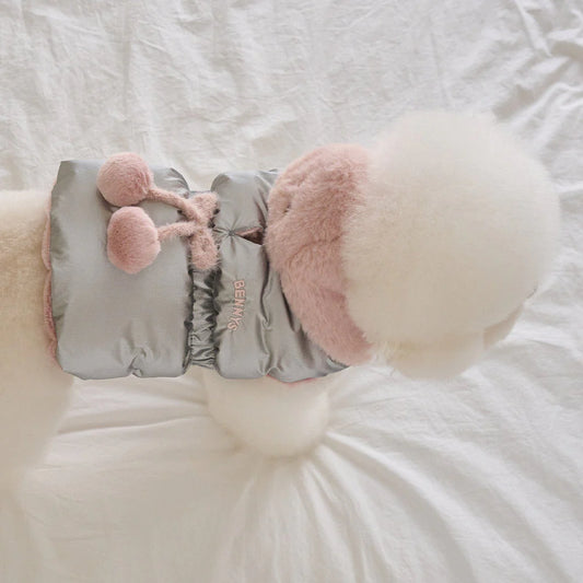 【予約】キセス ウェロン ダウン