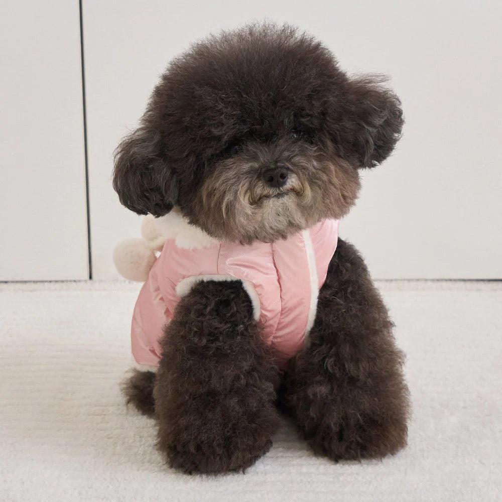 【予約】キセス ウェロン ダウン