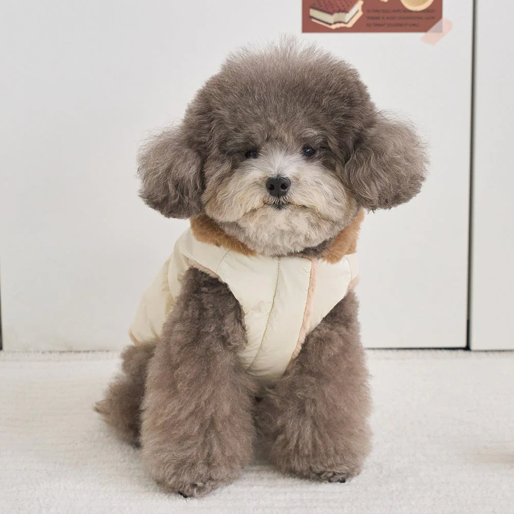 【予約】キセス ウェロン ダウン