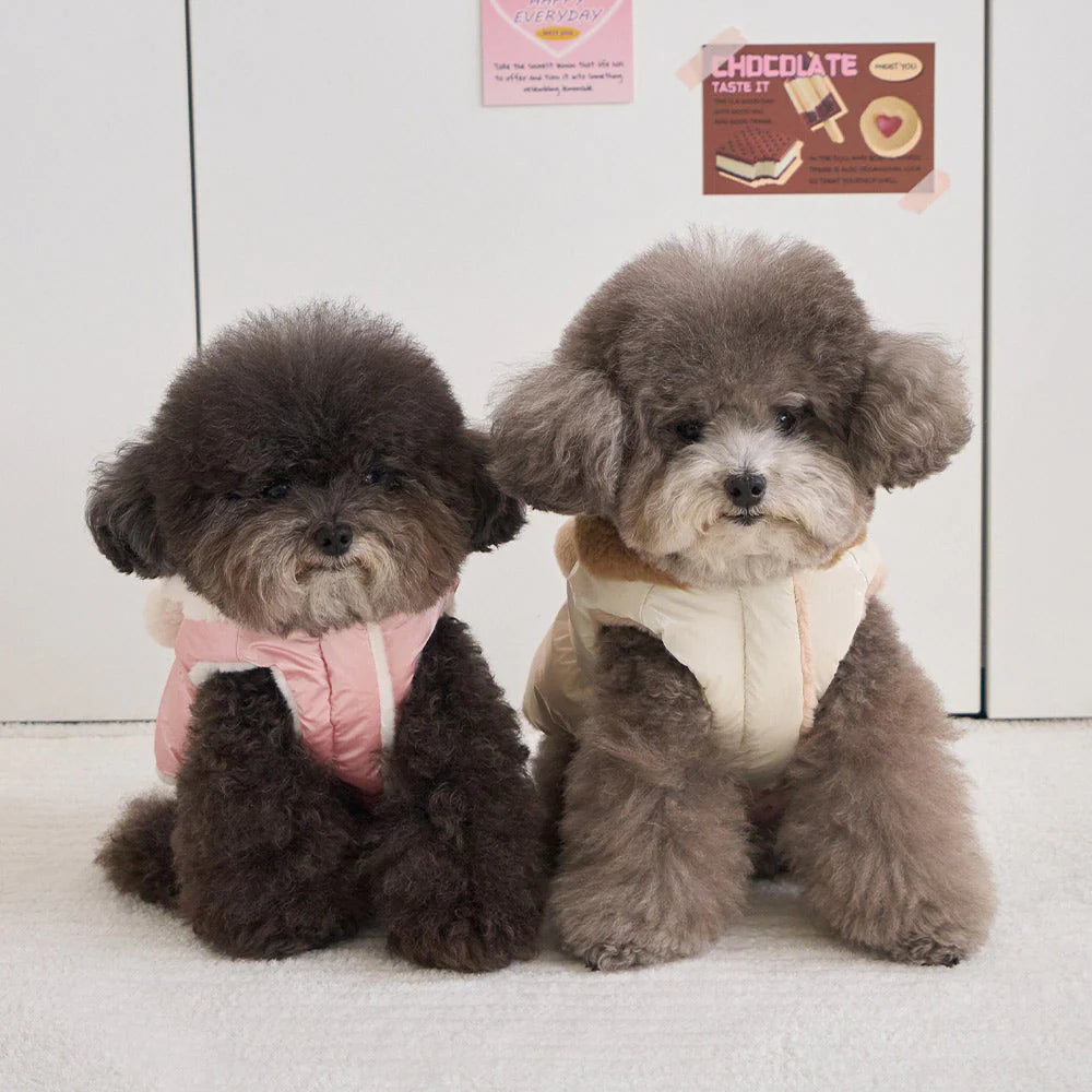 【予約】キセス ウェロン ダウン