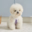 【予約】ロリポップ クロップトップ