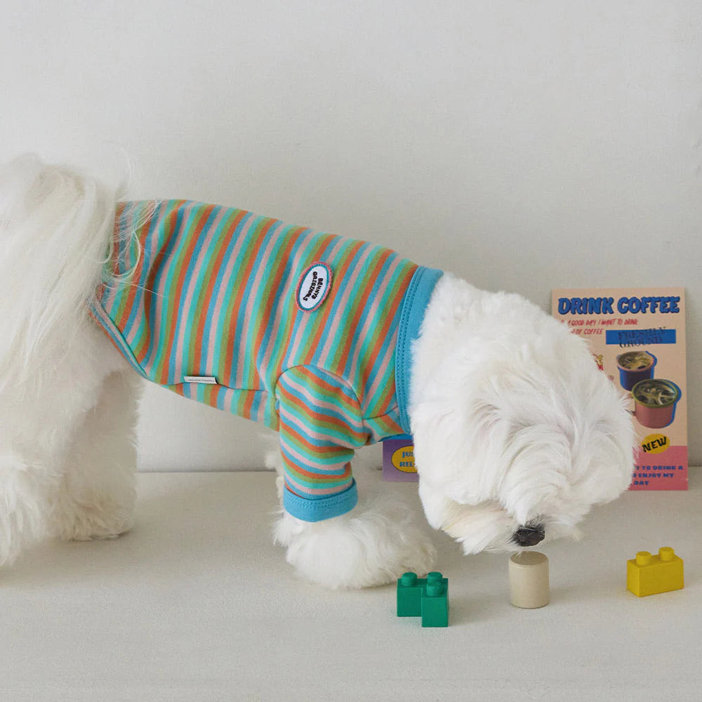 【予約】モデスト Tシャツ