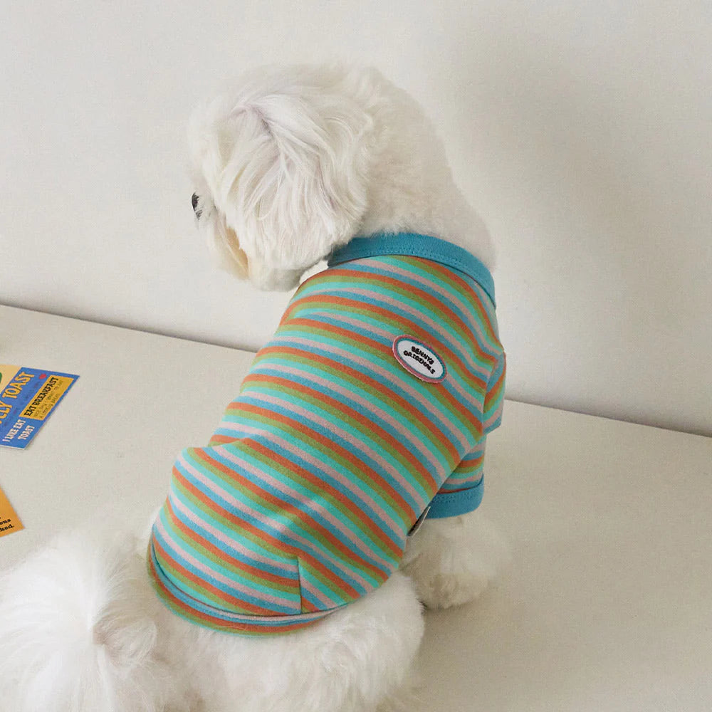 【予約】モデスト Tシャツ