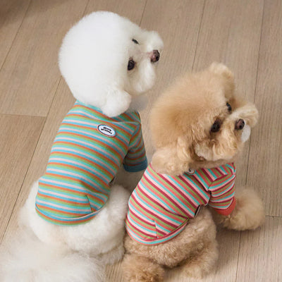 【予約】モデスト Tシャツ