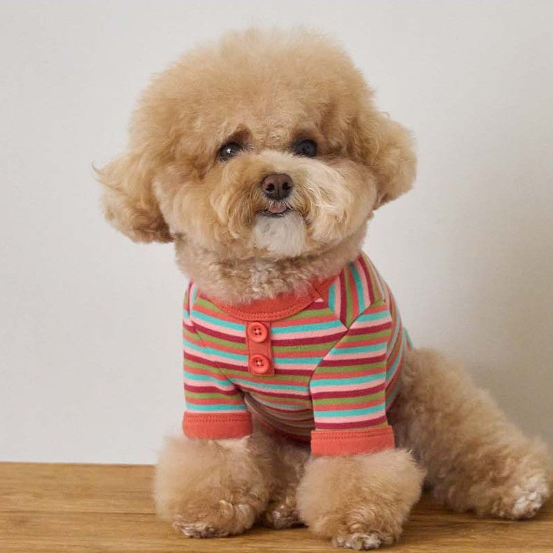 【予約】モデスト Tシャツ