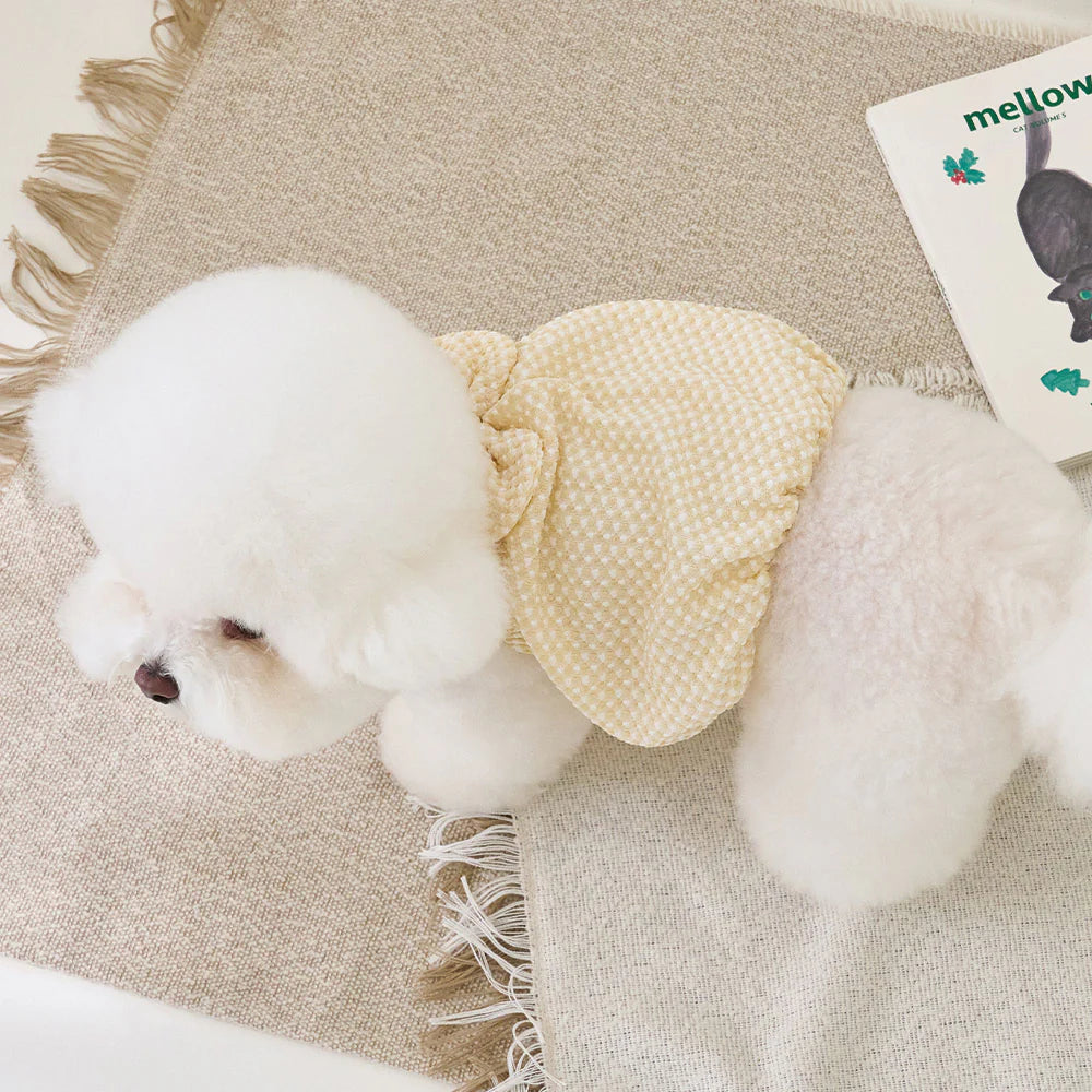 【予約】MOLLY BALLOON TOP