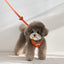 【予約】BENNYS MULTI LEASH