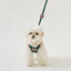 【予約】BENNYS MULTI LEASH