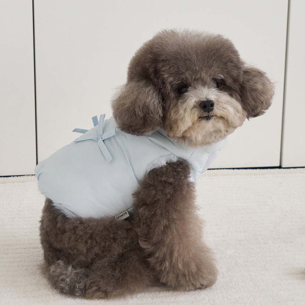 【予約】ポメロ ダウン