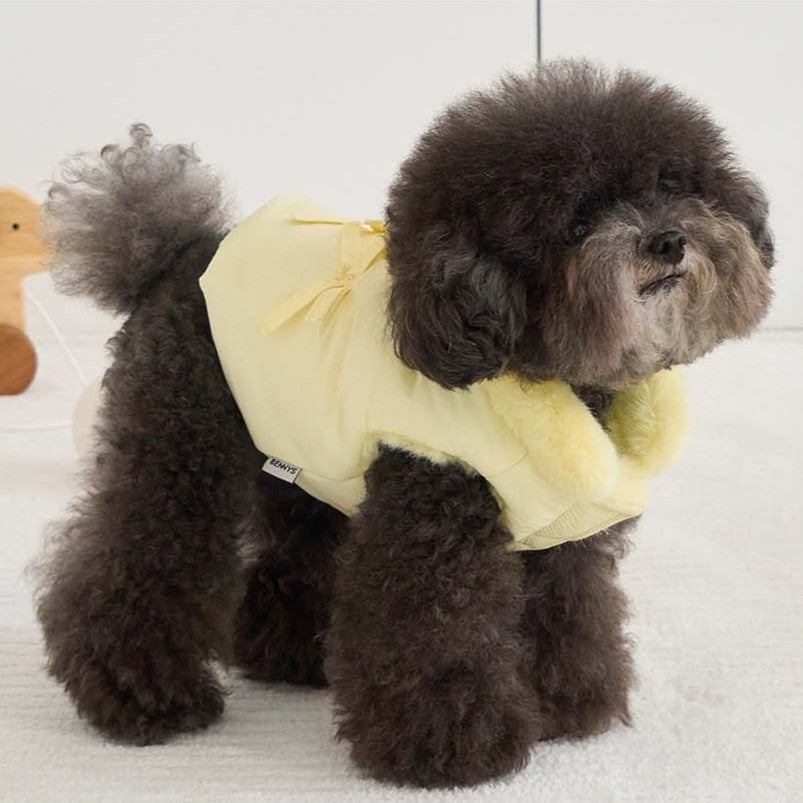 【予約】ポメロ ダウン