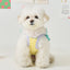 【予約】POPPING CROP TOP