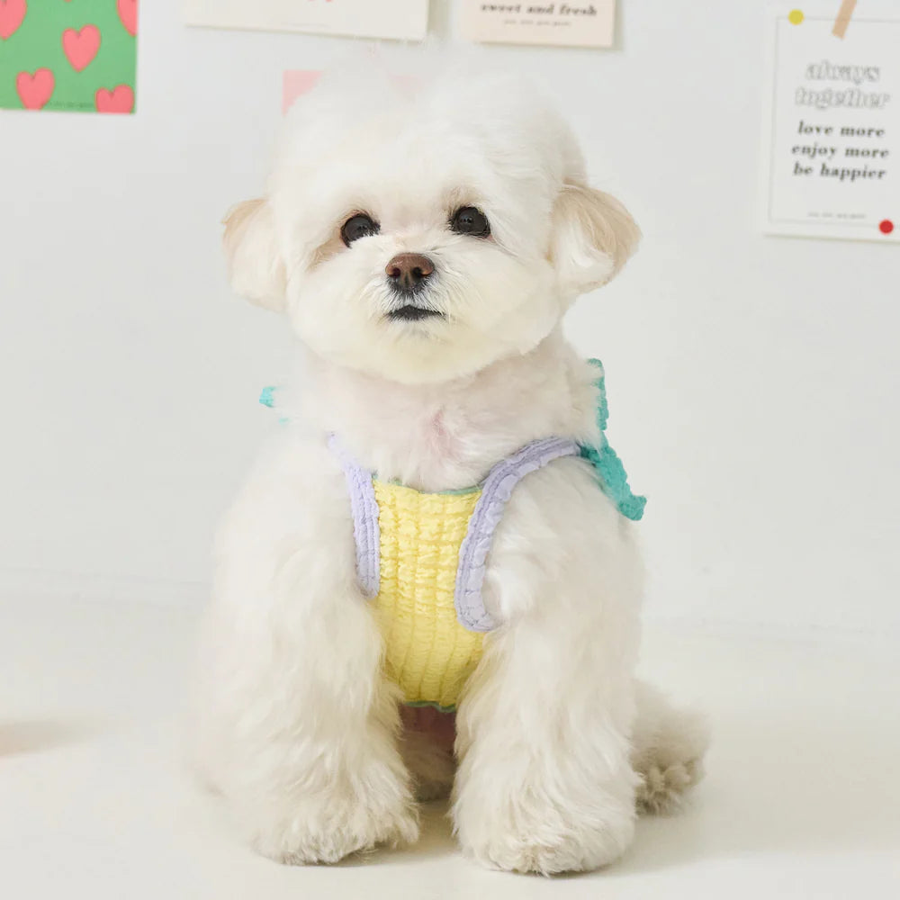 【予約】POPPING CROP TOP